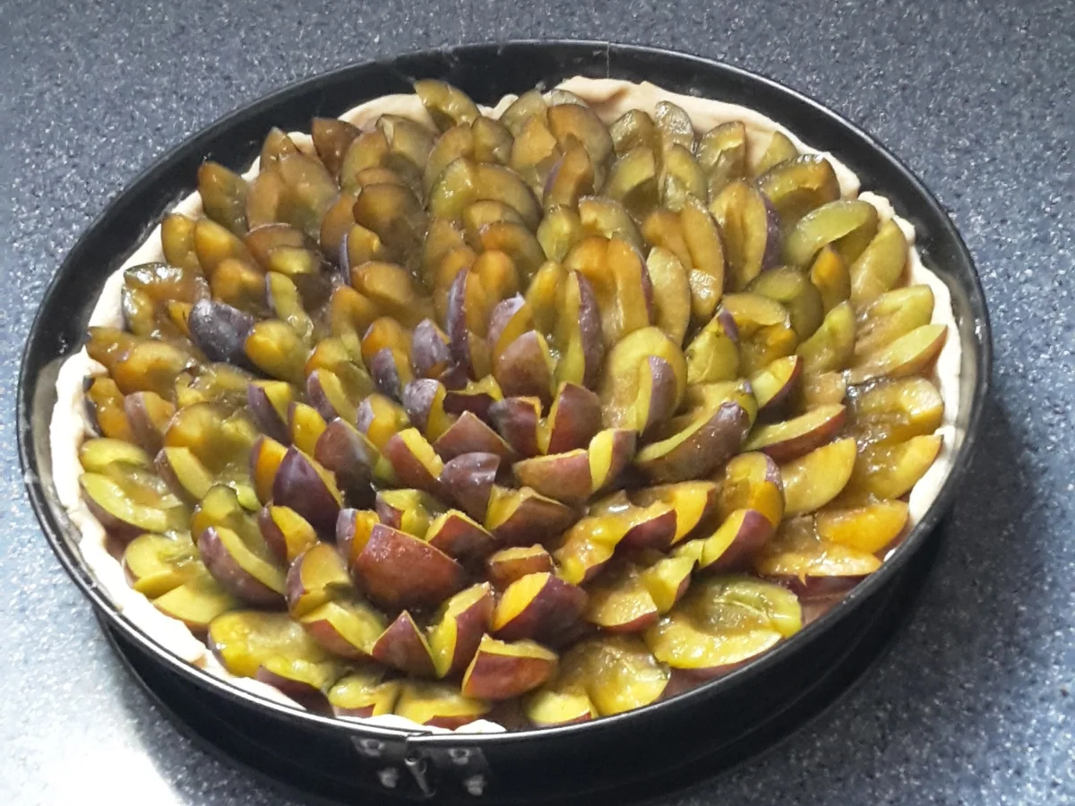 Zwetschgenkuchen mit Streusel - Rezept - Bild Nr. 13