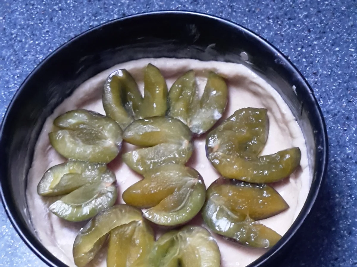 Zwetschgenkuchen mit Streusel - Rezept - Bild Nr. 16