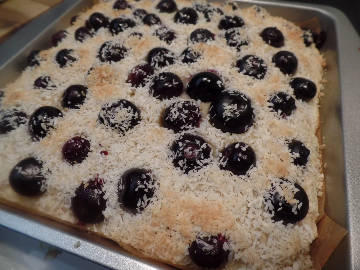 Kokos-Heidelbeer-Kuchen - Rezept - Bild Nr. 11072