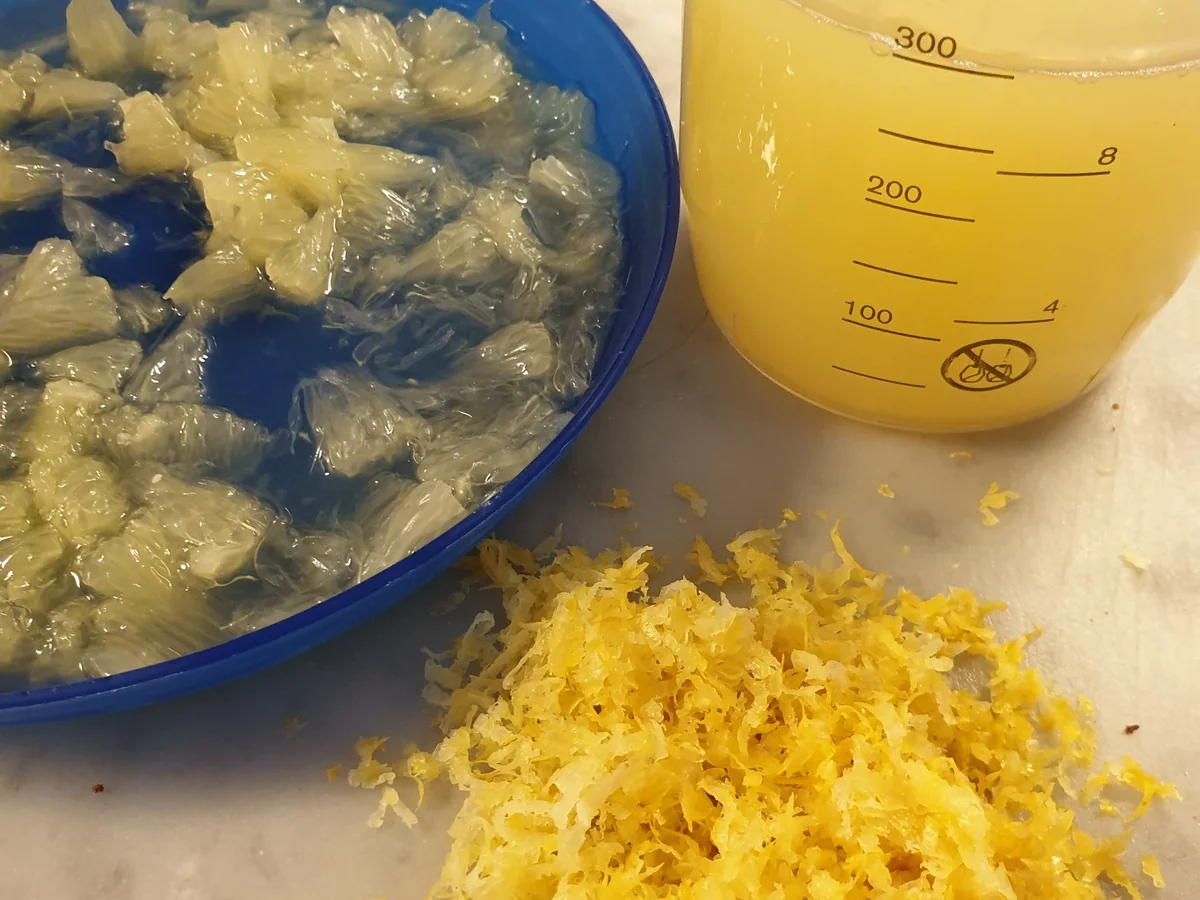 Rezept: Zitronen-Zuckermelonen Marmelade Bild Nr. 2 Zitronen-Zuckermelonen Marmelade - Rezept - Bild Nr. 2