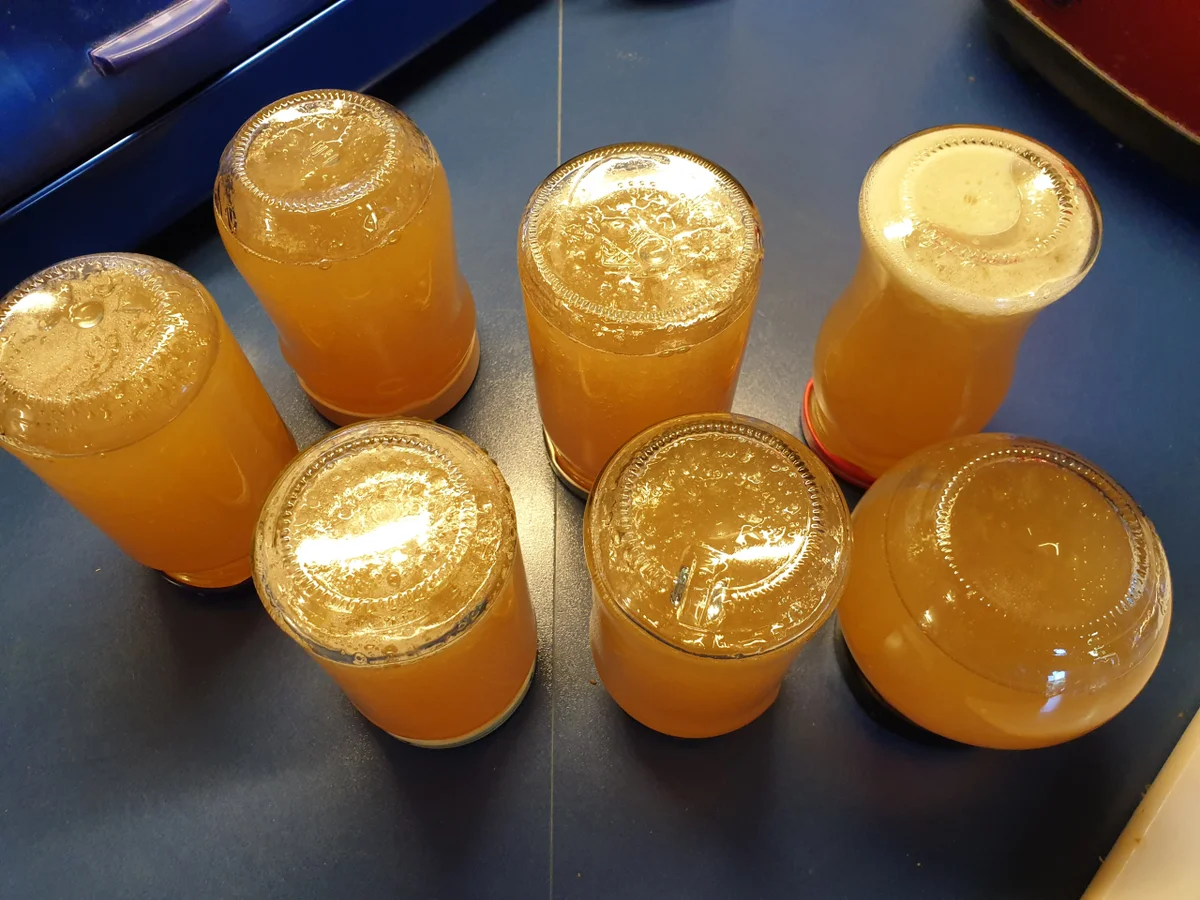 Rezept: Zitronen-Zuckermelonen Marmelade Bild Nr. 4 Zitronen-Zuckermelonen Marmelade - Rezept - Bild Nr. 4