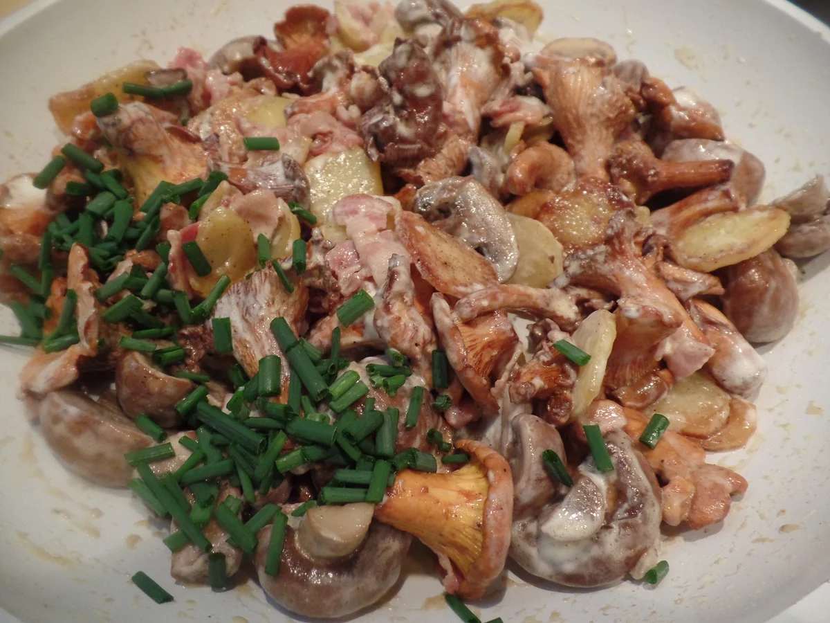 Pilz-Kartoffelpfanne - Rezept - Bild Nr. 11080