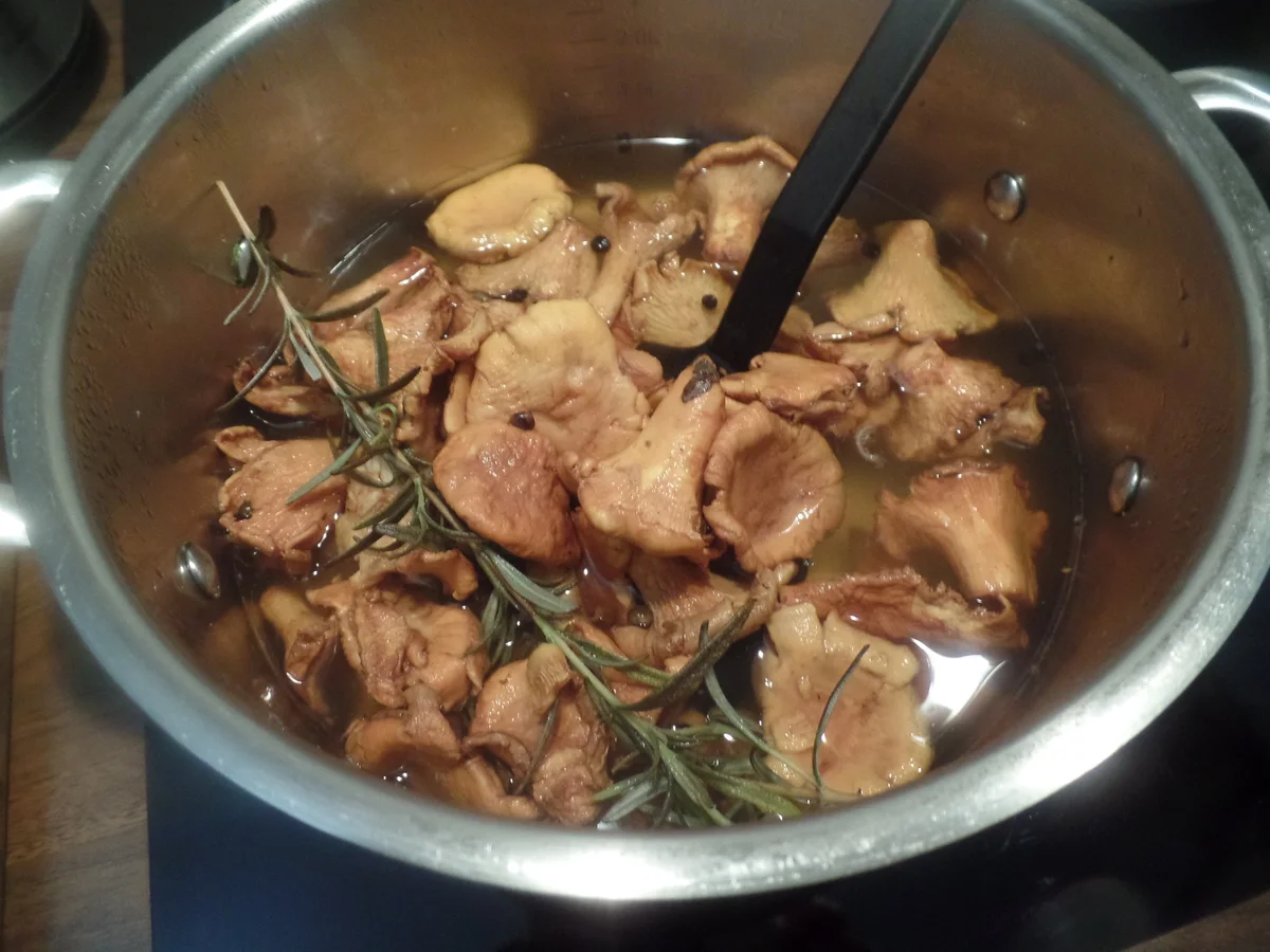 Pfifferlinge in Rapsöl - Rezept - Bild Nr. 11073