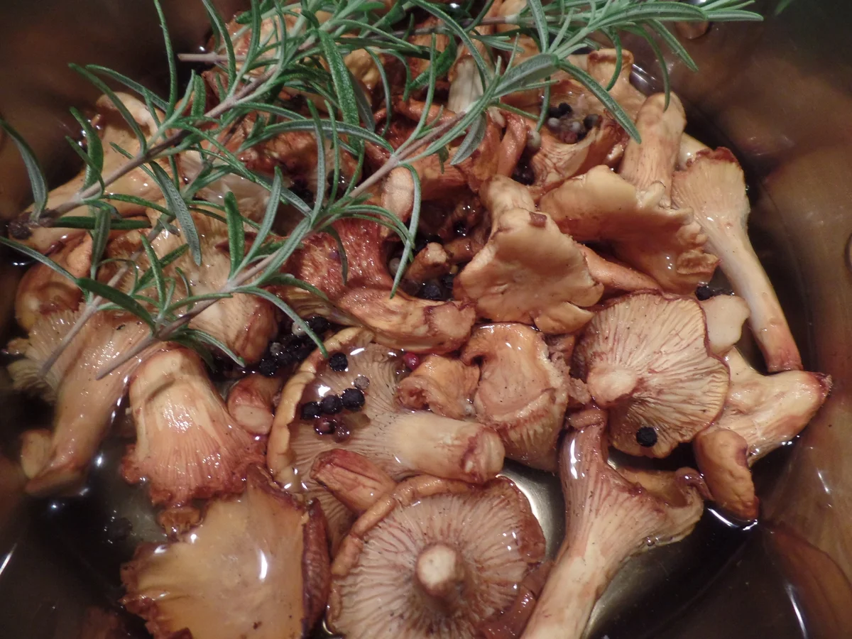 Pfifferlinge in Rapsöl - Rezept - Bild Nr. 11074