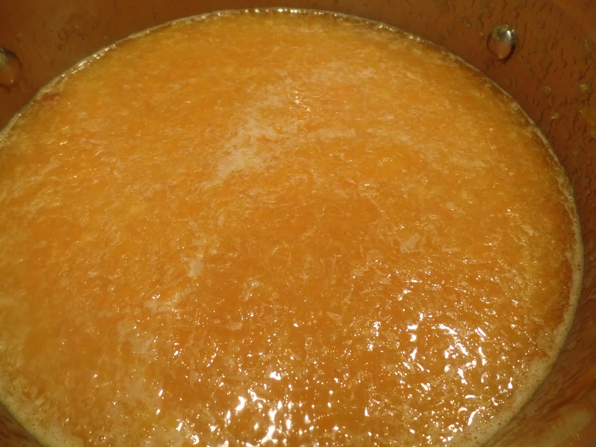 Orangen-Möhren -Ingwer-Konfitüre - Rezept - Bild Nr. 11083