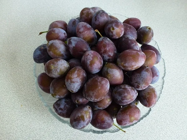 Einfacher Zwetschgenkuchen - Rezept - Bild Nr. 3