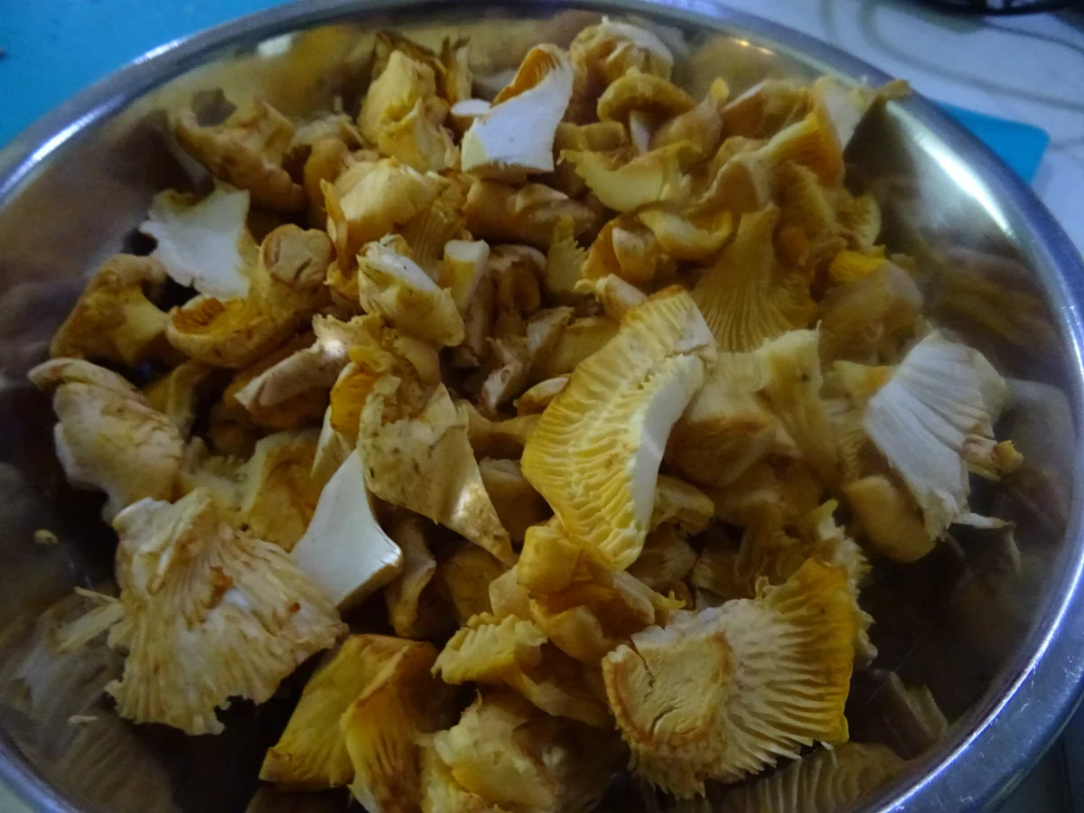 Rezept: Pfifferlings-Kartoffel-Pfanne mit Speck und Ei Bild Nr. 11083 Pfifferlings-Kartoffel-Pfanne mit Speck und Ei - Rezept - Bild Nr. 11083