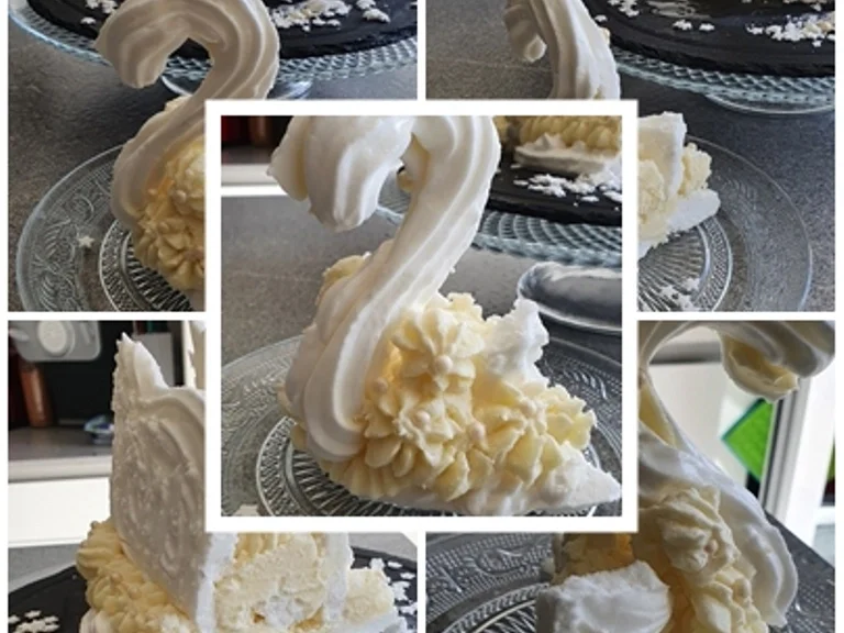 Rezept: Einfacher "Baiser oder Meringe Schwan" Ganz in Weiss = kochbar Challenge 8.0 (August 2020) Bild Nr. 11114 Einfacher "Baiser oder Meringe Schwan" Ganz in Weiss = kochbar Challenge 8.0 (August 2020) - Rezept - Bild Nr. 11114