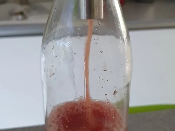 Rezept: Tomaten Bowle = Rezeptbau NR. 17 Bild Nr. 11091 Tomaten Bowle = Rezeptbau NR. 17 - Rezept - Bild Nr. 11091