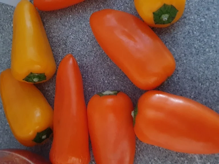 Rezept: Tomaten Bowle = Rezeptbau NR. 17 Bild Nr. 11090 Tomaten Bowle = Rezeptbau NR. 17 - Rezept - Bild Nr. 11090