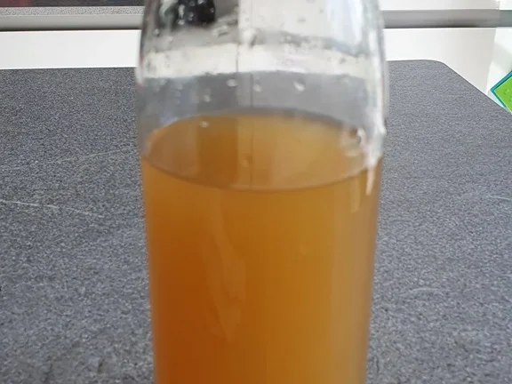 Rezept: Tomaten Bowle = Rezeptbau NR. 17 Bild Nr. 11102 Tomaten Bowle = Rezeptbau NR. 17 - Rezept - Bild Nr. 11102