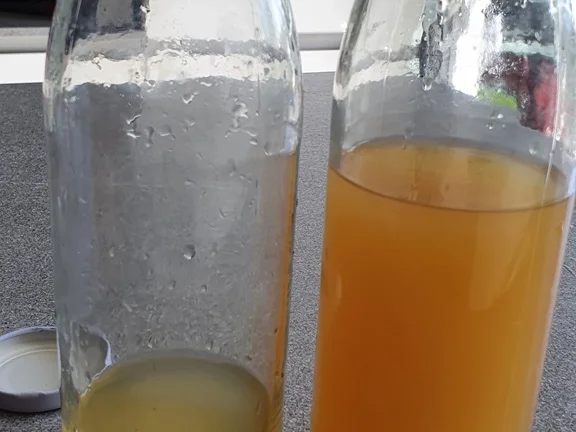 Rezept: Tomaten Bowle = Rezeptbau NR. 17 Bild Nr. 11104 Tomaten Bowle = Rezeptbau NR. 17 - Rezept - Bild Nr. 11104