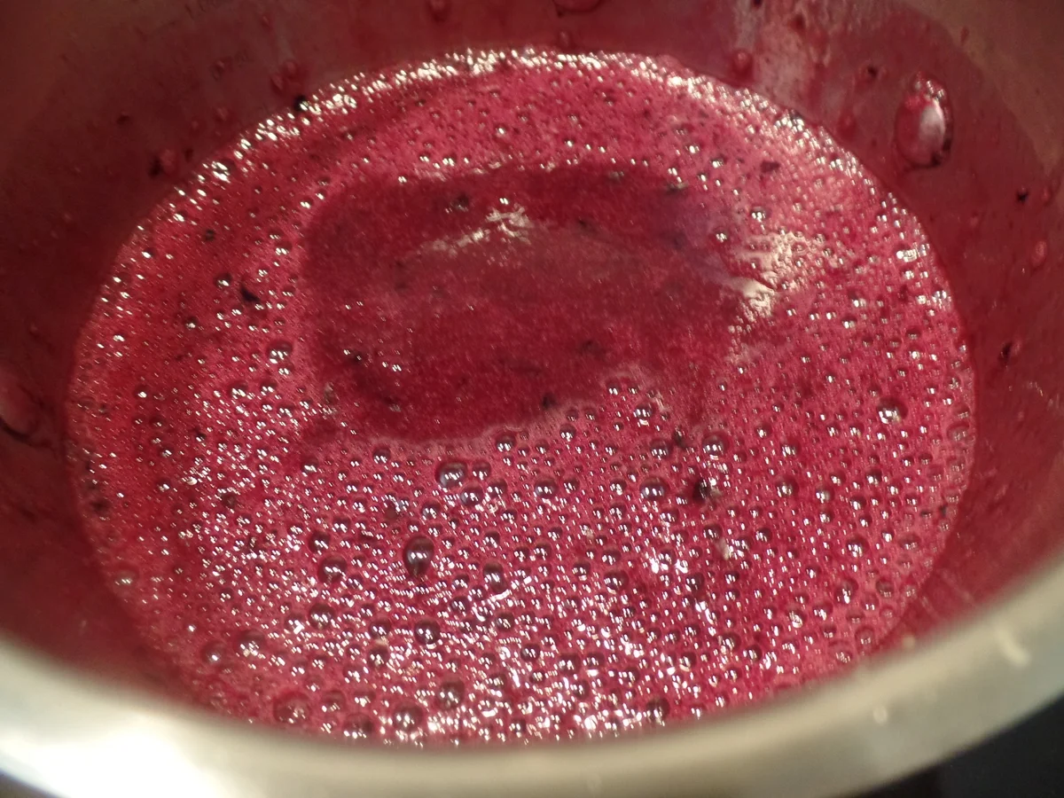 Rezept: Blaubeer-Vanille-Eis Bild Nr. 11085 Blaubeer-Vanille-Eis - Rezept - Bild Nr. 11085