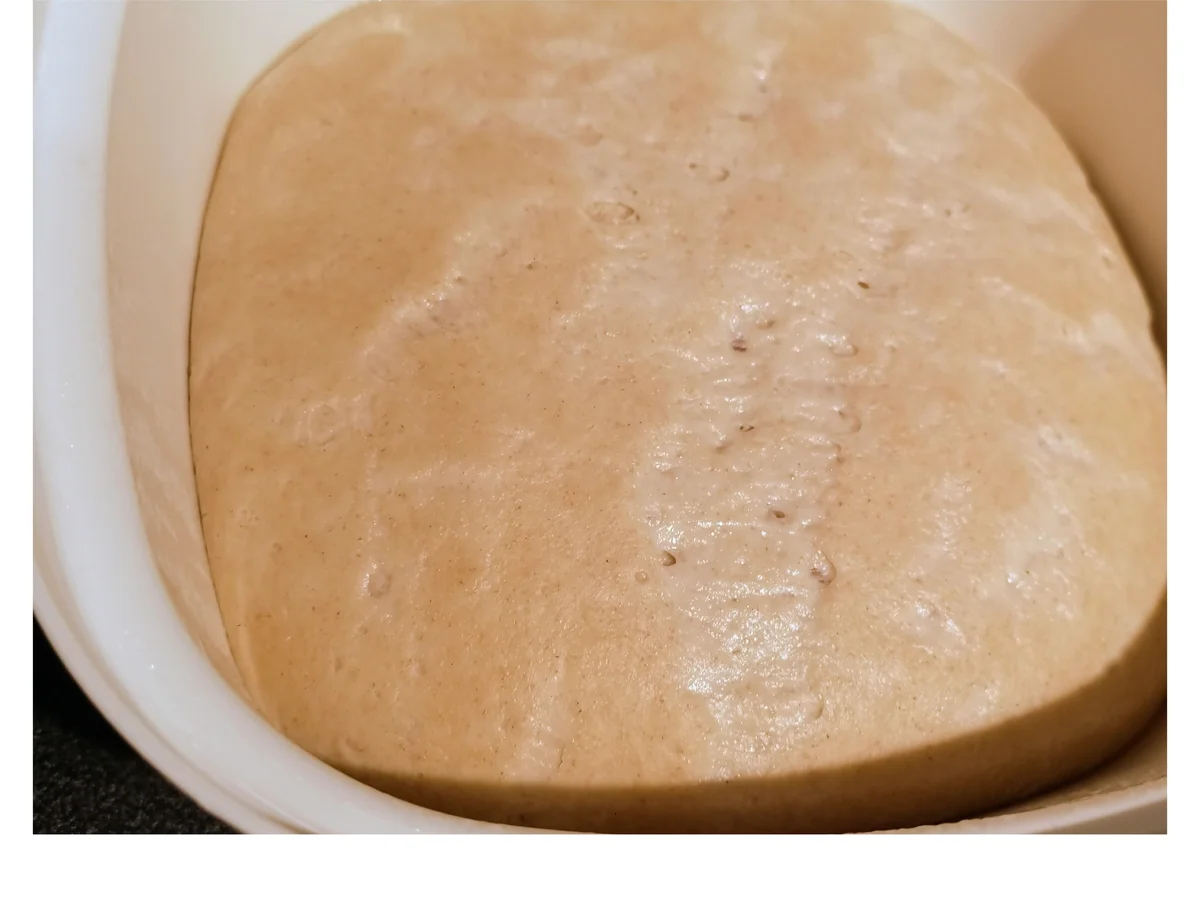 BiNe` S DINKEL BRÖTCHEN - Rezept - Bild Nr. 7