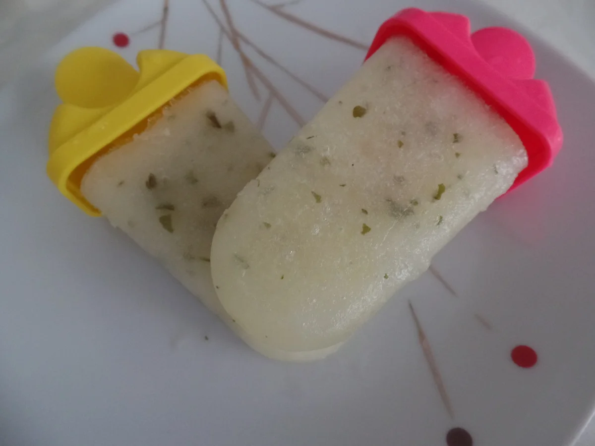 Zuckermelonen-Minz-Eis - Rezept - Bild Nr. 11119