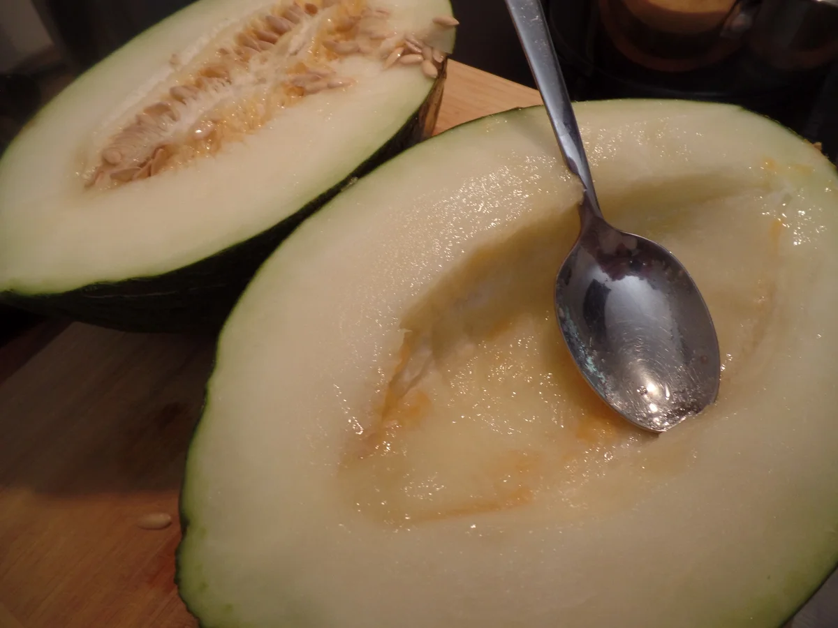 Zuckermelonen-Minz-Eis - Rezept - Bild Nr. 11120