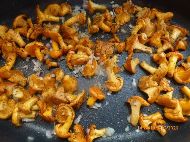 Pfifferlingssalat mit Ziegenkäse im Schinkenmantel - Rezept - Bild Nr. 11134