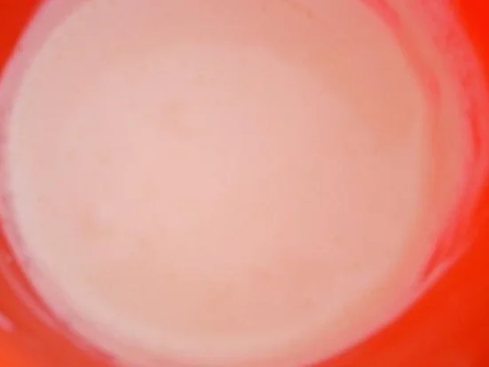 Zwetschen - Dessert mit Schmandcreme - Rezept - Bild Nr. 5