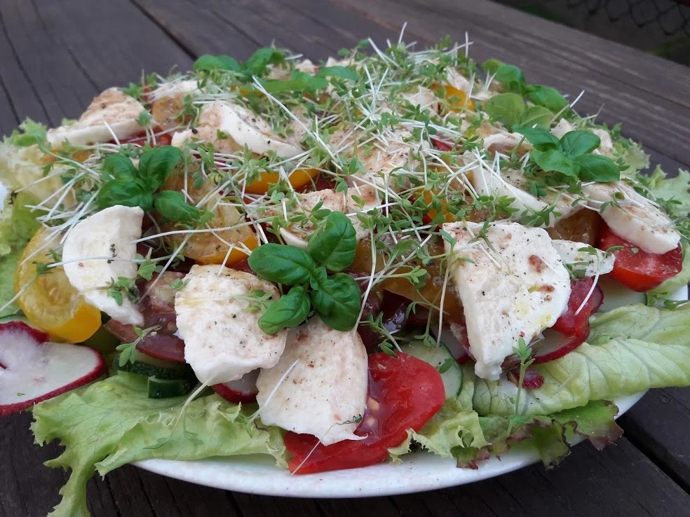 Salat mit Büffelmozzarella - Rezept - Bild Nr. 3
