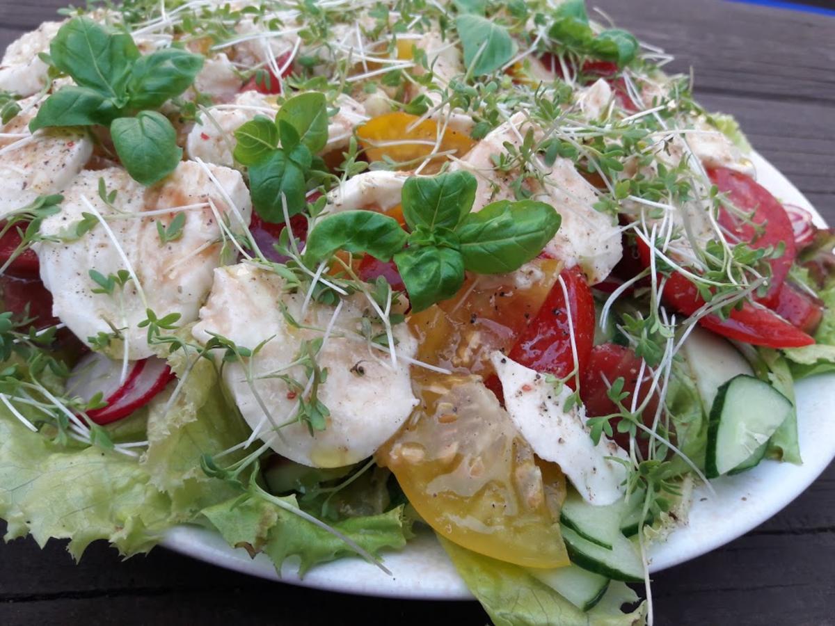 Salat mit Büffelmozzarella - Rezept - Bild Nr. 8