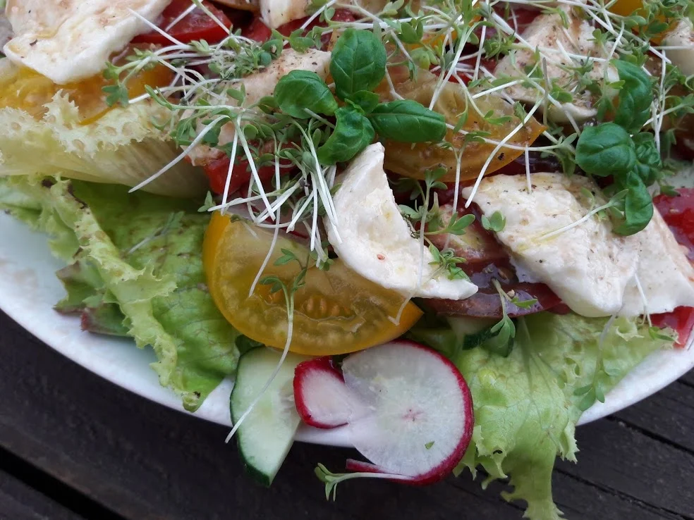 Salat mit Büffelmozzarella - Rezept - Bild Nr. 9