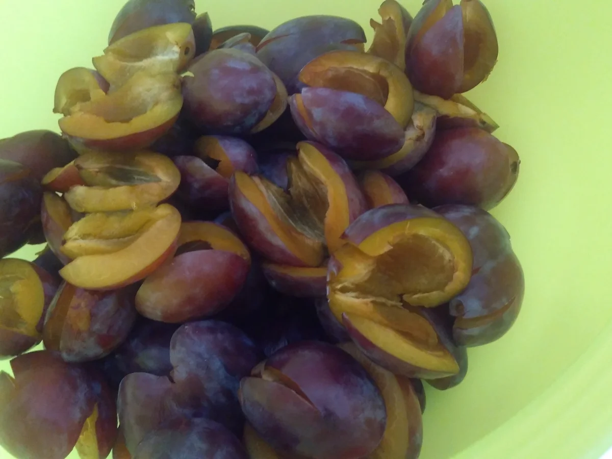 Rezept: Zwetschgenkuchen Bild Nr. 11150 Zwetschgenkuchen - Rezept - Bild Nr. 11150