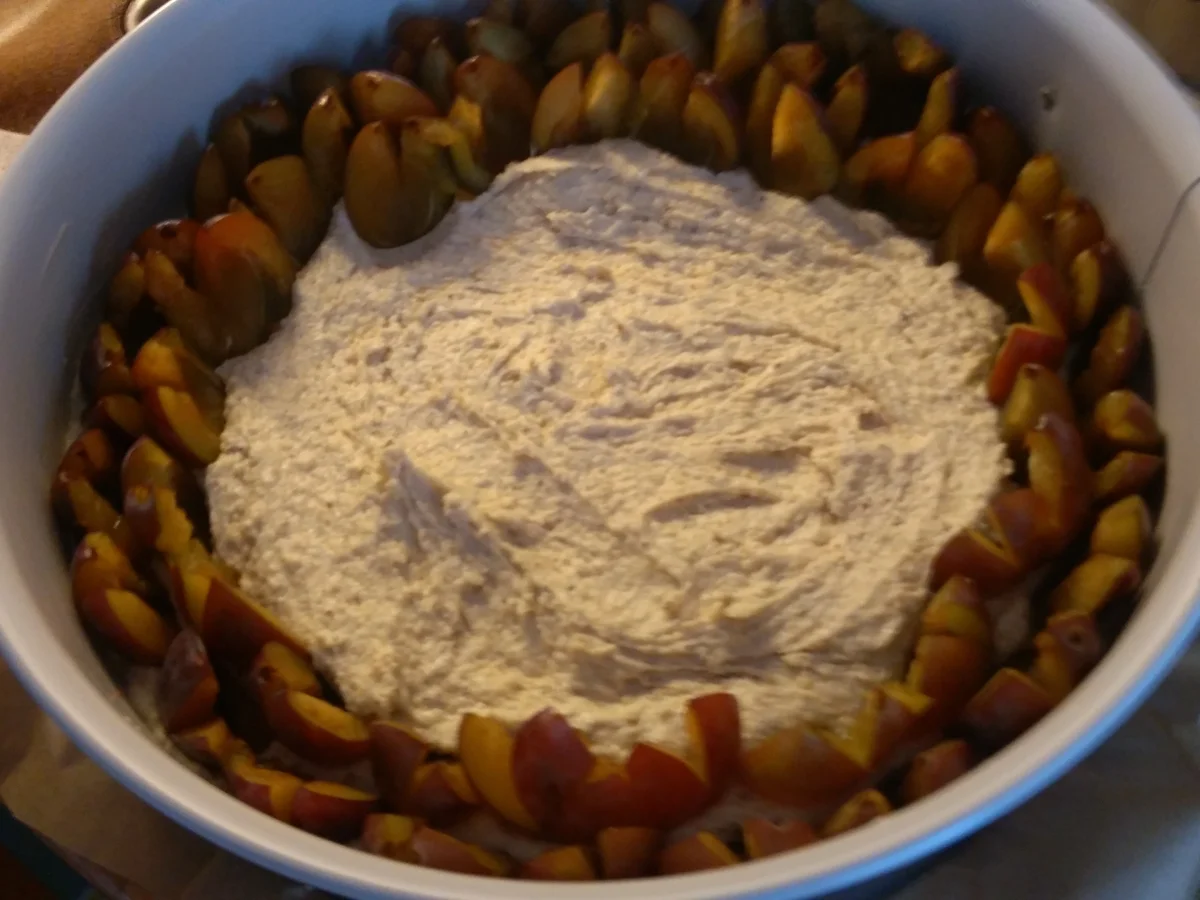 Rezept: Zwetschgenkuchen Bild Nr. 11151 Zwetschgenkuchen - Rezept - Bild Nr. 11151