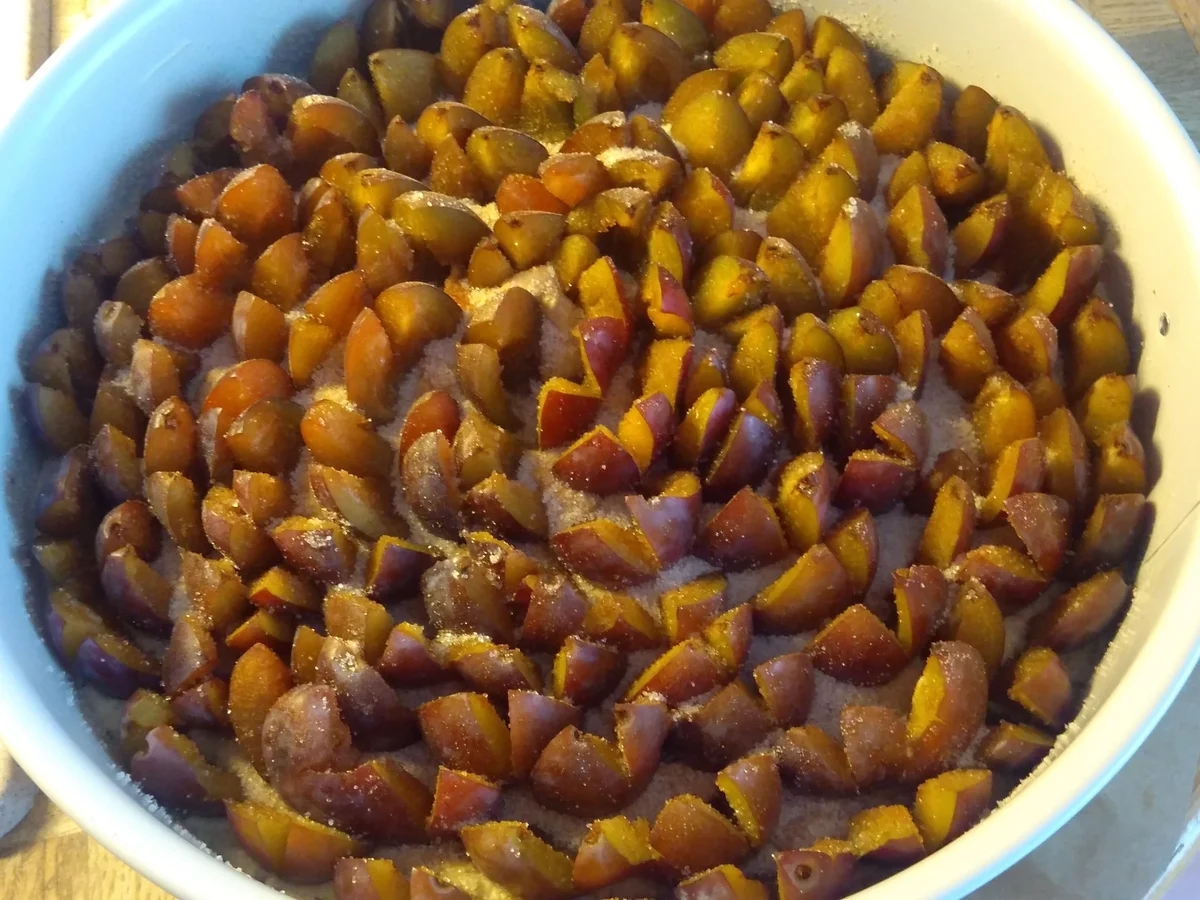 Rezept: Zwetschgenkuchen Bild Nr. 11152 Zwetschgenkuchen - Rezept - Bild Nr. 11152