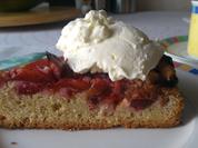 Zwetschgenkuchen - Rezept - Bild Nr. 11153