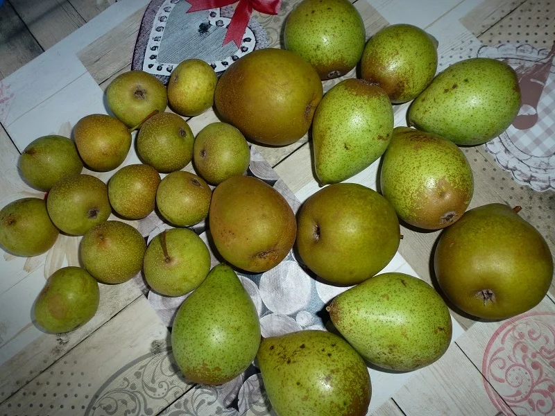 Birnenkompott-kochbar Challenge 9.0 (2020 - Rezept - Bild Nr. 11173