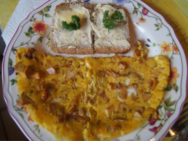 Rezept: Pfifferling-Omelett Bild Nr. 2 Pfifferling-Omelett - Rezept - Bild Nr. 2