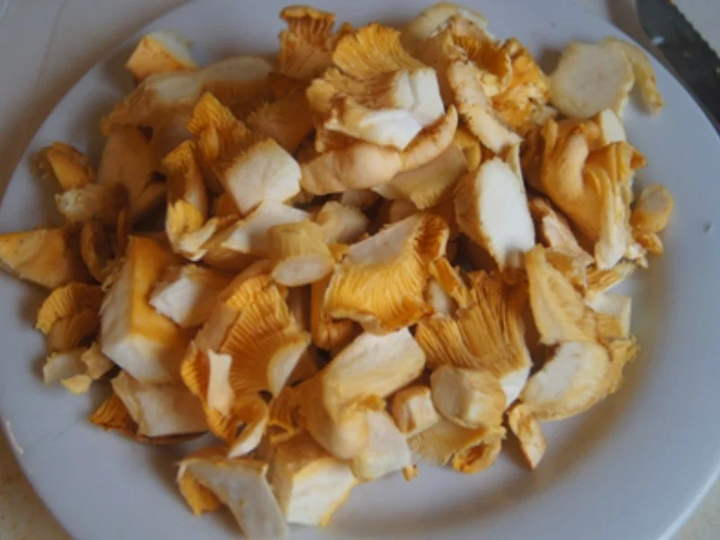 Rezept: Pfifferling-Omelett Bild Nr. 4 Pfifferling-Omelett - Rezept - Bild Nr. 4