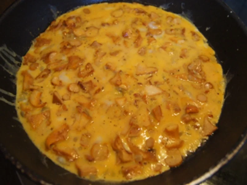 Rezept: Pfifferling-Omelett Bild Nr. 12 Pfifferling-Omelett - Rezept - Bild Nr. 12