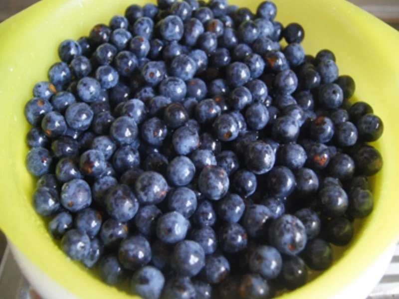 Schlehenlikör XXL - Rezept - Bild Nr. 4