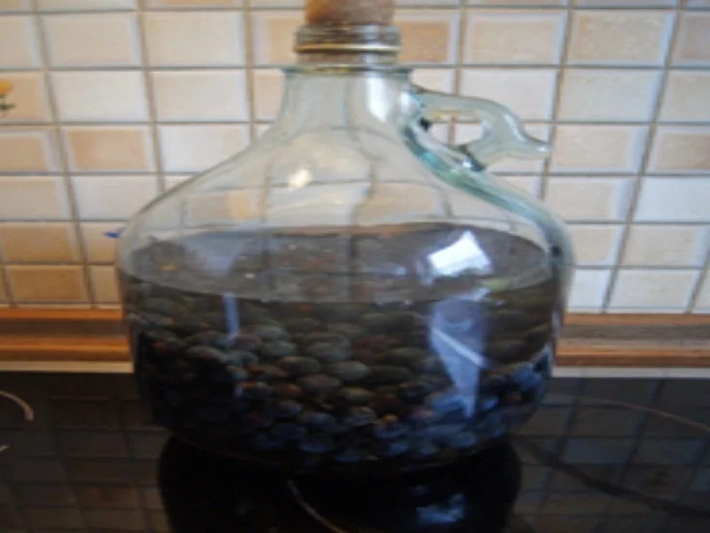 Schlehenlikör XXL - Rezept - Bild Nr. 8