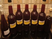 Schlehenlikör XXL - Rezept - Bild Nr. 9