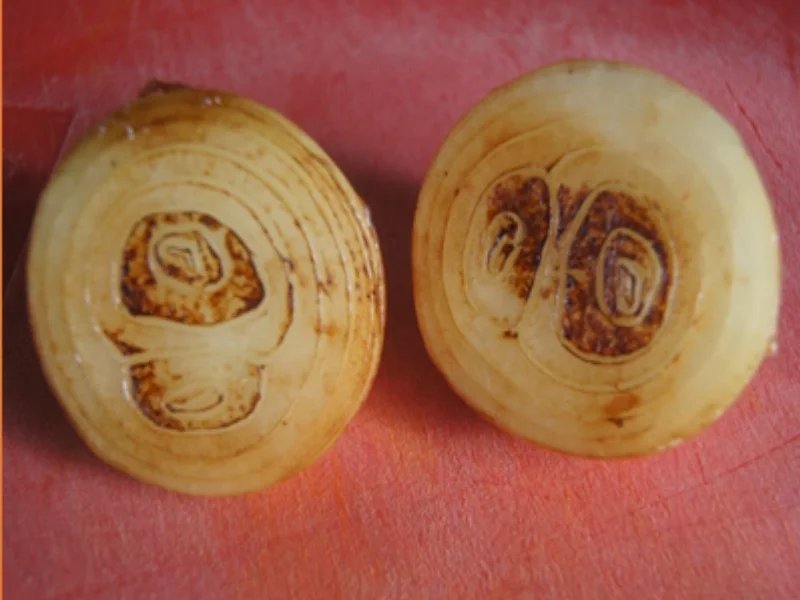 Tafelspitzsuppe - Rezept - Bild Nr. 5