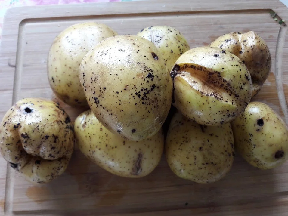 Rezept: Bohneneintopf zur kochbar Challenge September 2020 Bild Nr. 13 Bohneneintopf zur kochbar Challenge September 2020 - Rezept - Bild Nr. 13