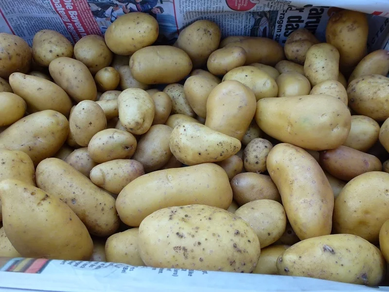 Oma`s Untereinander Kochbar Challenge 9.0 (2020) - Rezept - Bild Nr. 11