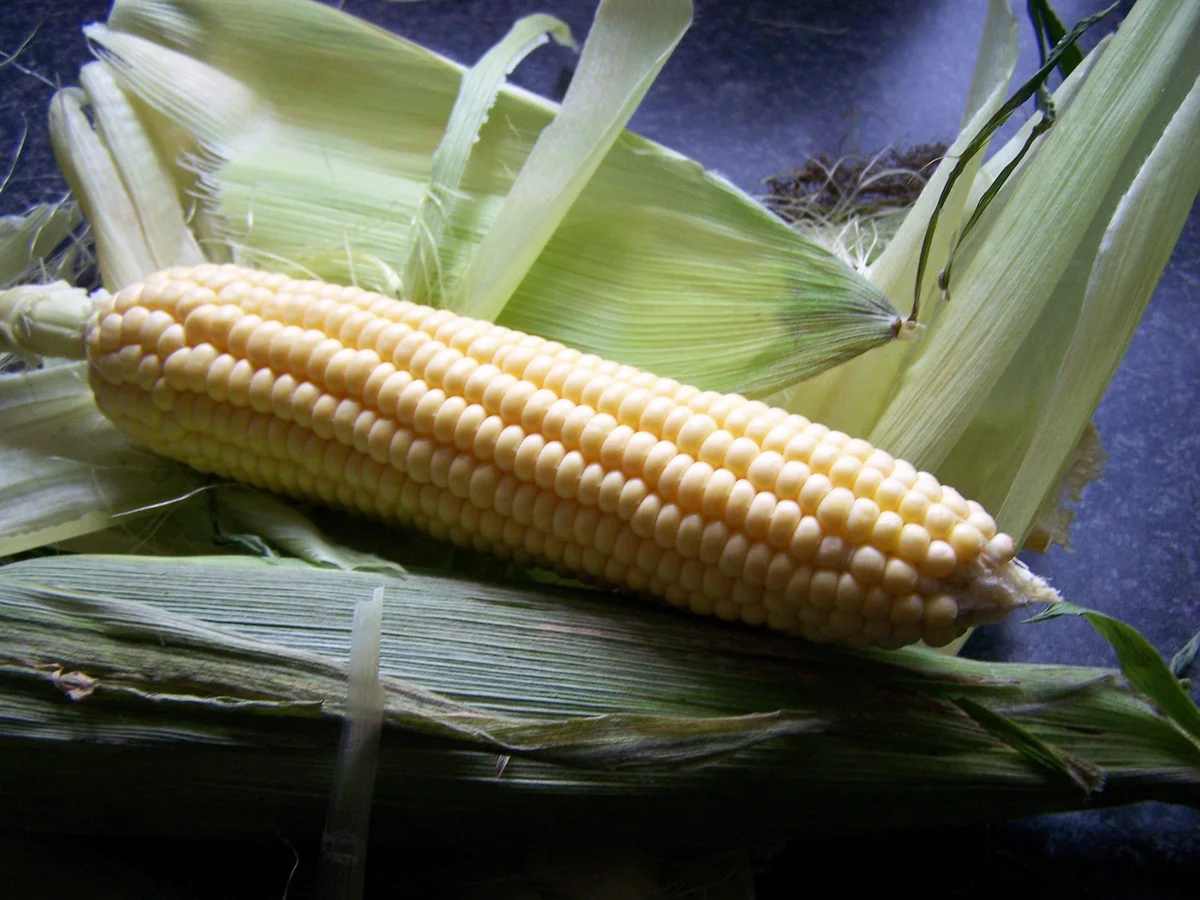 Um den MAIS gewickelt - Rezept - Bild Nr. 3