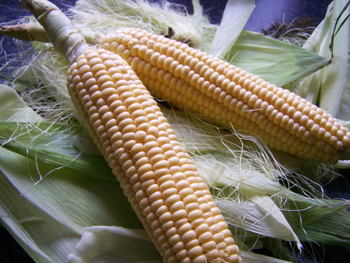 Um den MAIS gewickelt - Rezept - Bild Nr. 4