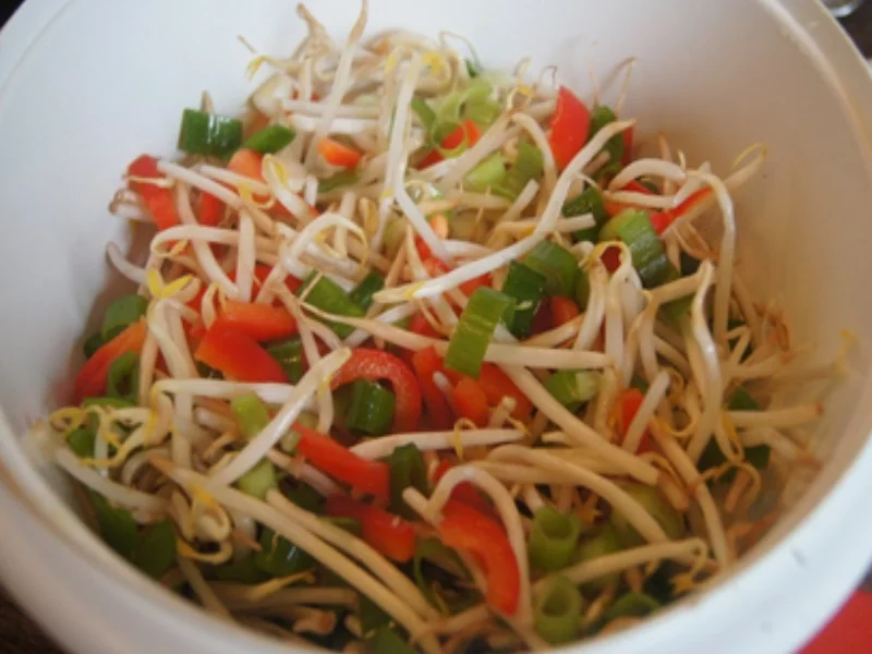 Rezept: Sprossensalat mit Paprika und Frühlingszwiebeln Bild Nr. 5 Sprossensalat mit Paprika und Frühlingszwiebeln - Rezept - Bild Nr. 5