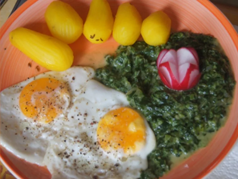Rezept: Würziger Rahmspinat mit Kartoffeln und Spiegeleiern Bild Nr. 12 Würziger Rahmspinat mit Kartoffeln und Spiegeleiern - Rezept - Bild Nr. 12