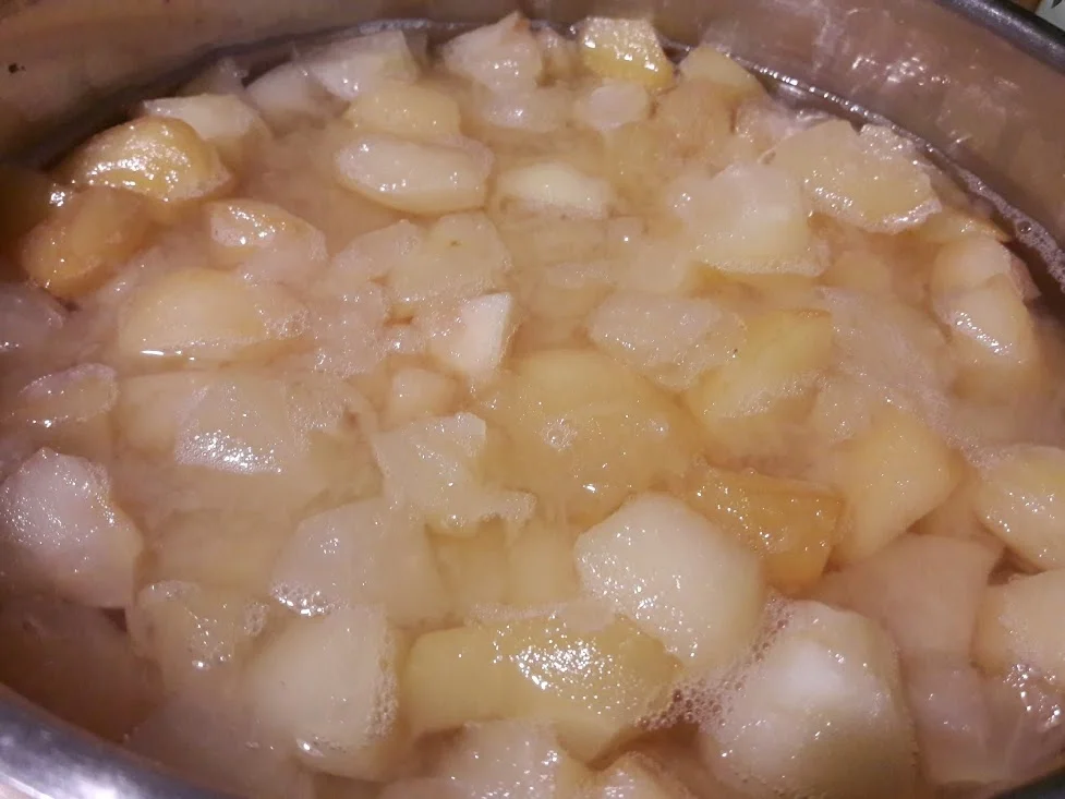 Apfelkuchen mit Schokoladendecke zur kochbar Challenge September 2020 - Rezept - Bild Nr. 20