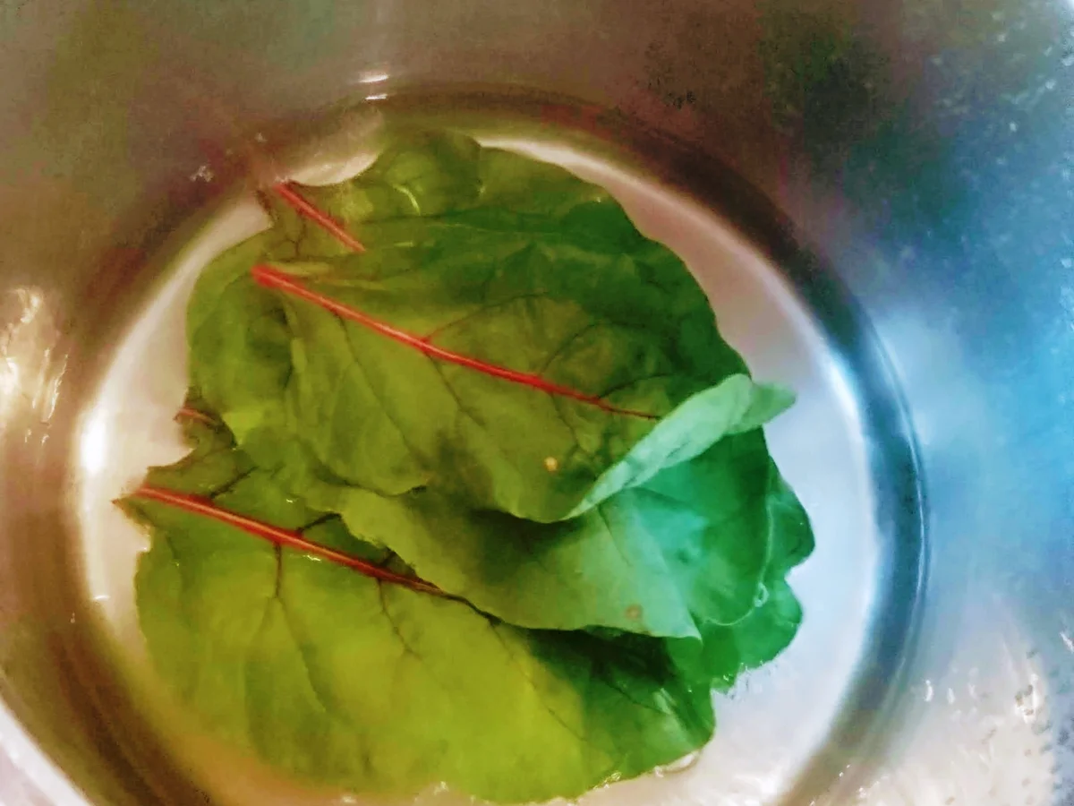 Capuns - Rezept - Bild Nr. 4