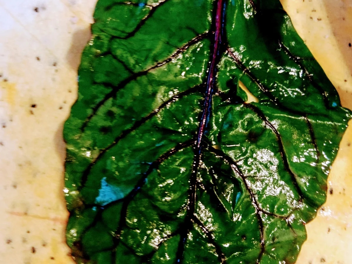 Capuns - Rezept - Bild Nr. 8