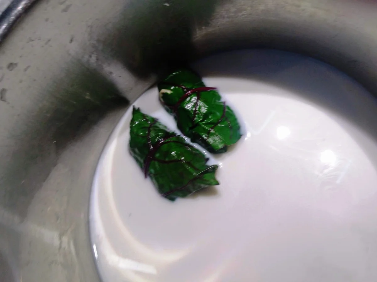 Capuns - Rezept - Bild Nr. 10