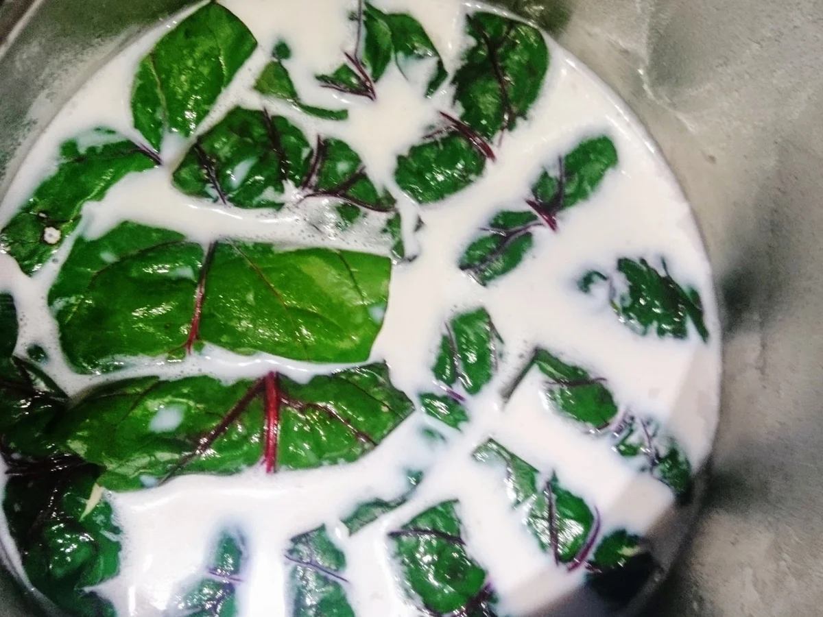 Capuns - Rezept - Bild Nr. 11