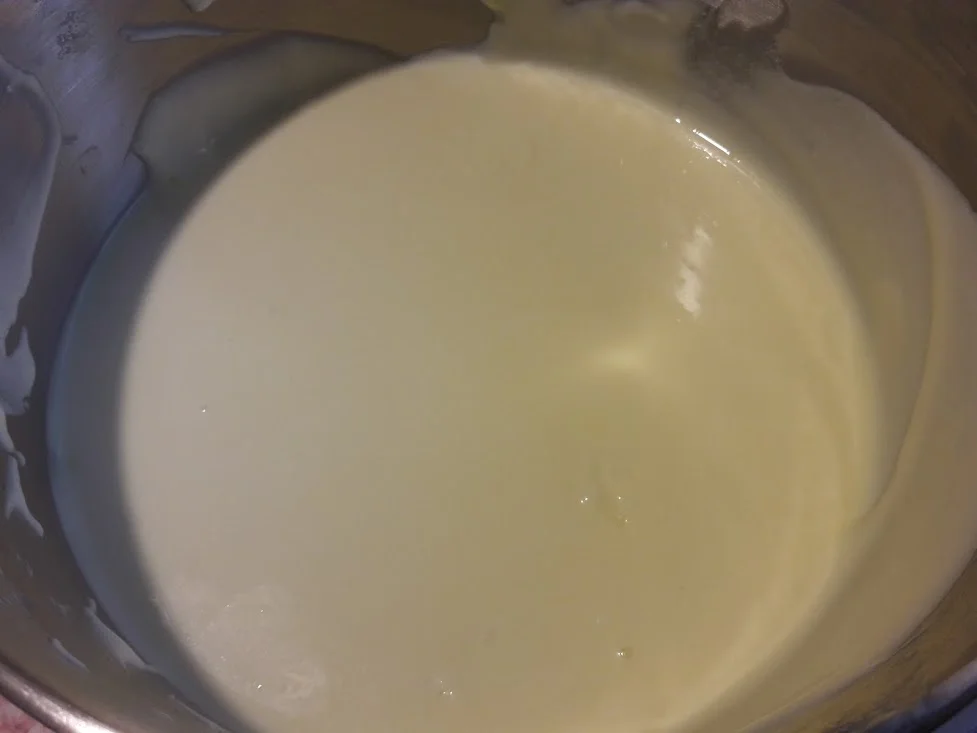 Rezept: Stachelbeer - Quarkkuchen Bild Nr. 9 Stachelbeer - Quarkkuchen - Rezept - Bild Nr. 9