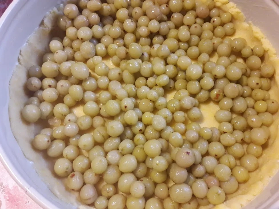 Rezept: Stachelbeer - Quarkkuchen Bild Nr. 10 Stachelbeer - Quarkkuchen - Rezept - Bild Nr. 10